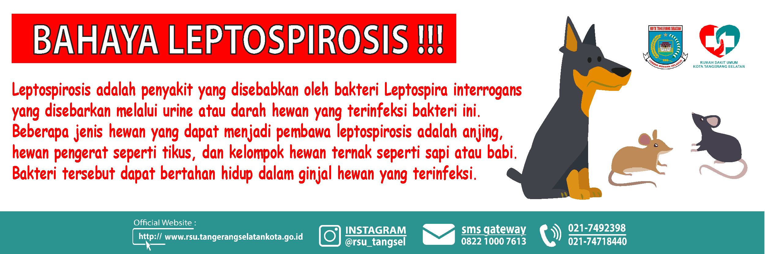Bahaya Leptospirosis Di Lingkungan Sekitar Kita !